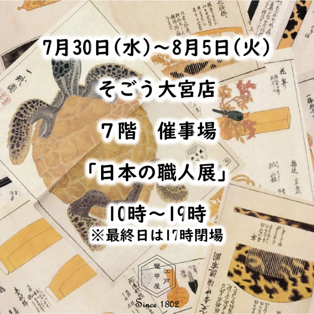 本鼈甲　帯留　ブローチ　54g  東さ6-0515ア⑯ Amazon.co.jp: 本鼈甲 ブローチ 白べっ甲 白甲 ぶどう
