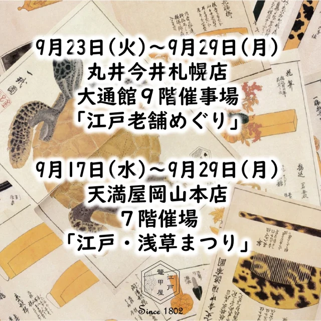 アクセサリー，鼈甲，べっこ 2025年最新】Yahoo!オークション -鼈甲の中古品・新品・未使用品一覧